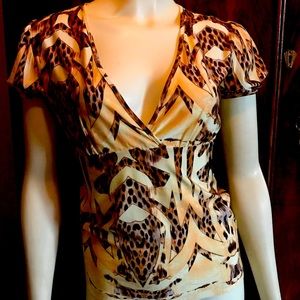 Roberto CAVALLI 🐆